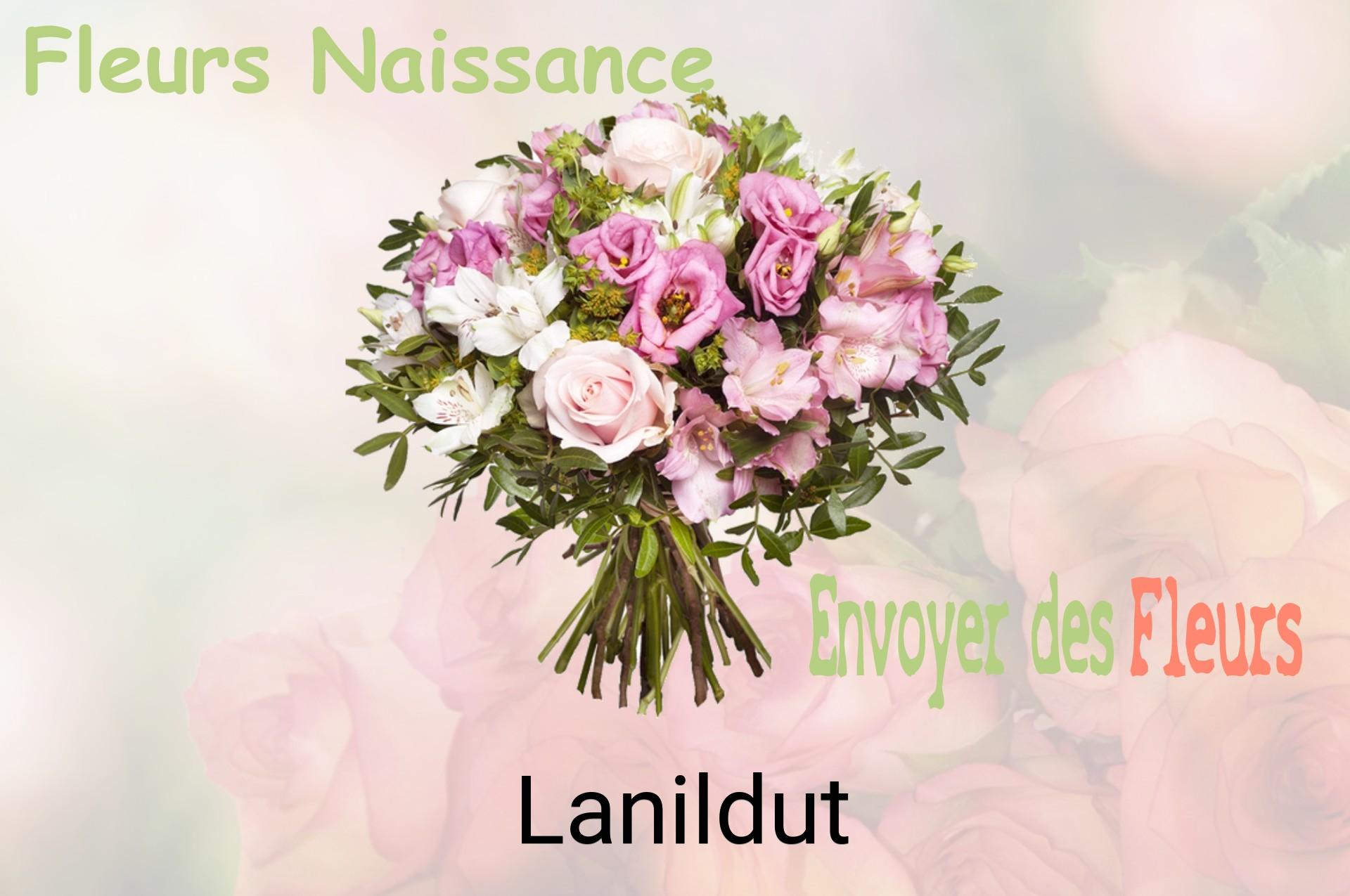 Bouquet de fleurs de naissance livré à Lanildut