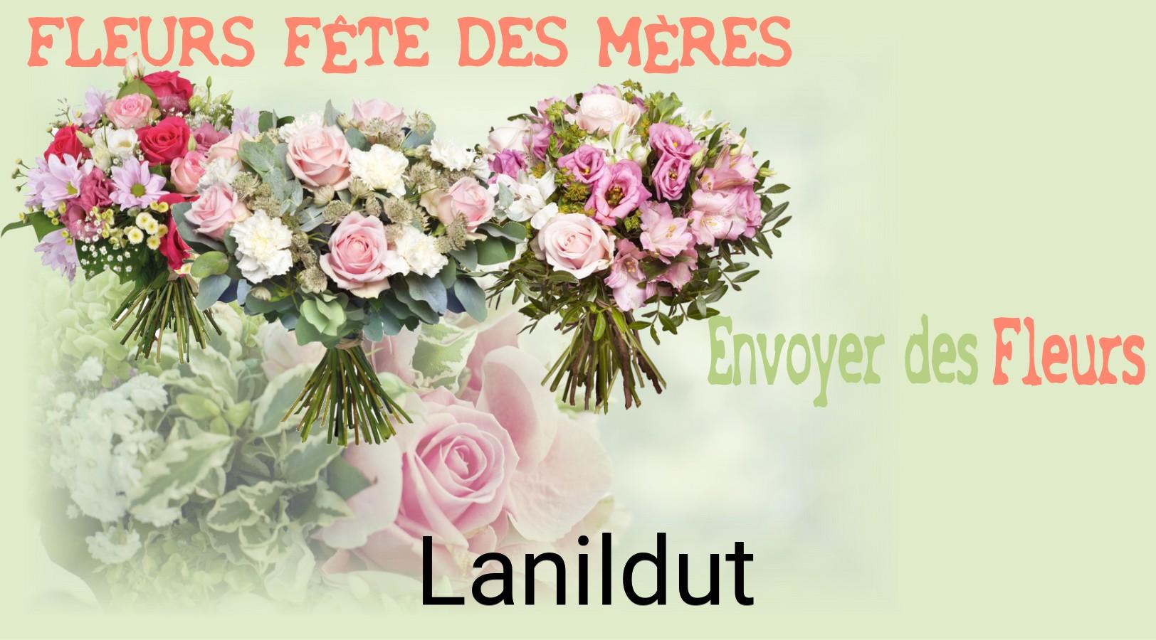 Bouquet de Fête des Mères livré à Lanildut